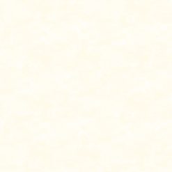 Toscana, Champagne || Texture/Blender || 9020-111