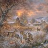 First Frost, Panel, Northcott