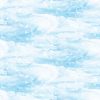 Patriot || DP25545 46 || Running Yardage || Birds || Light Blue || Northcott