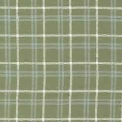 Picture of plaid green plaid fabric