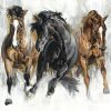 Picture of stallions on fabric