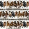 Picture of Stallions border stripe fabric