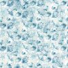 Picture of shells, blue fabric