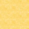 Canvas Northcott Sunshine