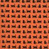 Midnight Magic 2, Moda, black cat fabric with orange background