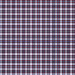 Cowboy Blues Small Check Plaid