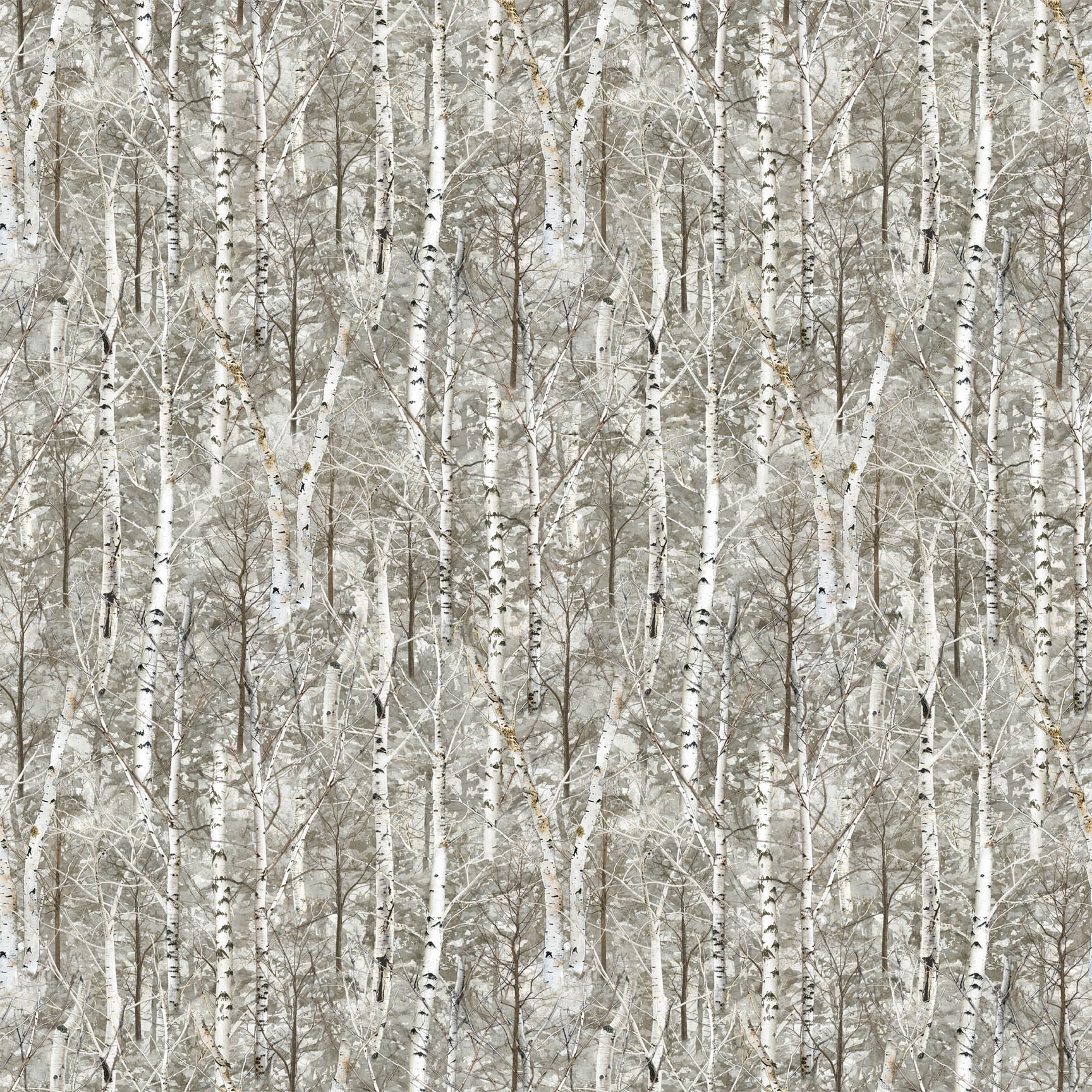 Wild at Heart, Forest Fabric of forest and birch trees from the Wild at Heart fabric line by Northcott