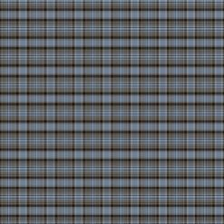 Blue plaid Wild at Heart fabric