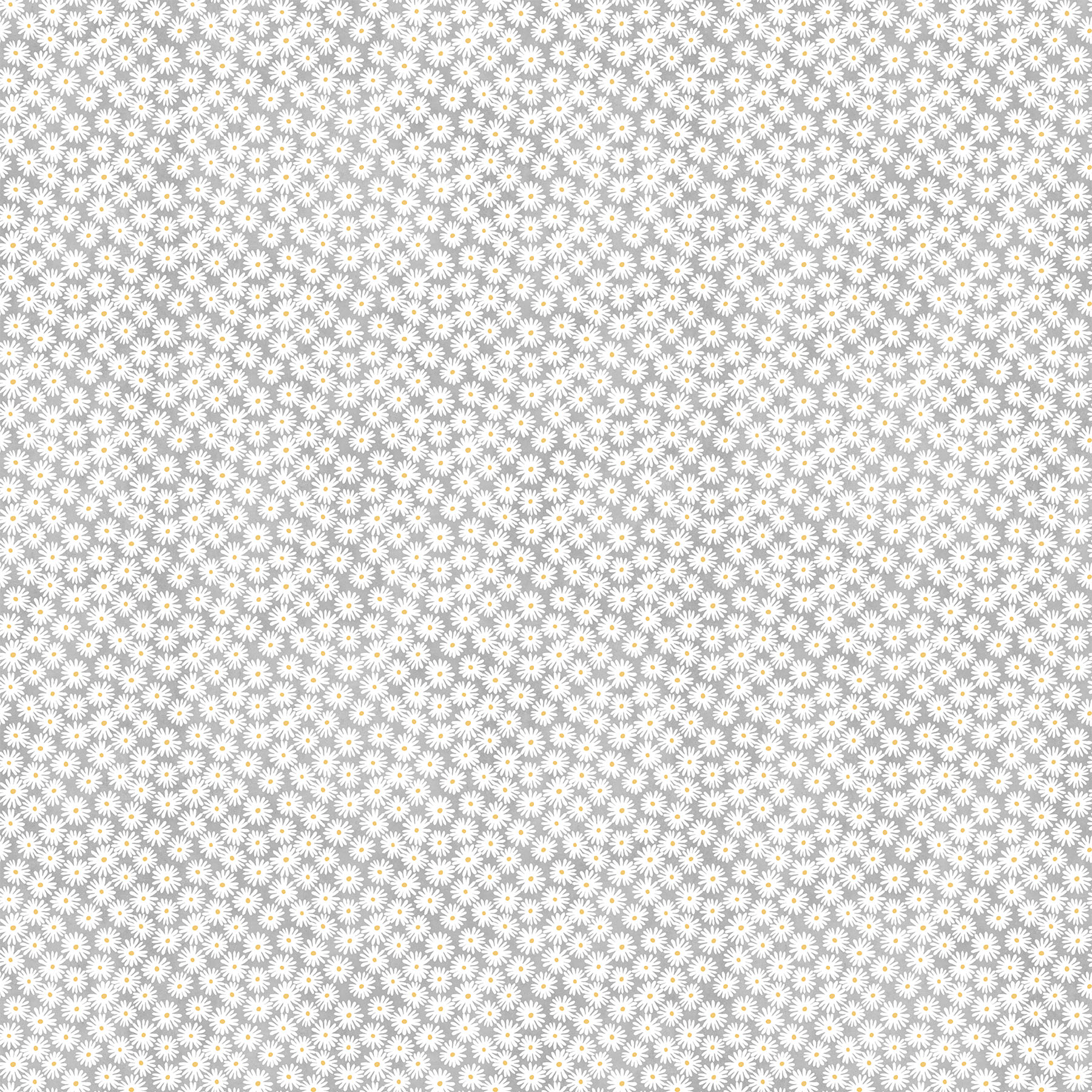 Sunny Safari, 27767-91 Gray daisy toss cotton fabric with white blooms and yellow centers from Sunny Safari by Northcott, SKU 27767-91.